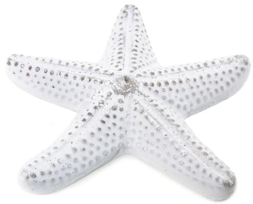 Logbuch-Verlag Seestern Dekoobjekt aus Beton grau weiß flach Maritime Deko Figur Sommer Meer Stranddeko 17 cm