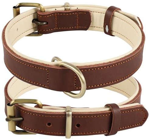 Collar de Cuero Genuino para Perro, Varios tamaños y Colores, Resistente, cómodo, Acolchado Interior Suave con diseño de Color en Contraste, Cinco tamaños Diferentes de 25 a 57 cm