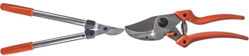 Original LÖWE 31 Profi Bypass Astschere 31.050 & 8 Profi Amboss Gartenschere 8.107 mit Bypass Geometrie - scharfe handliche Schere mit Stahl-Klinge Antihaftbeschichtung und ergonomisch geformte Griffe