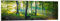 Wald Panorama Acrylglasbild von Martin Wasilewski 60 x 20 cm Grün Wandbilder Wanddeko