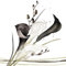20 Servietten Blumen, Garten & Natur Calla schwarz-weiß als Tischdeko. Papierservietten mit Motiv. Auch für Decoupage und Serviettentechnik 33x33cm
