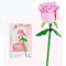 Pezicco Set di Costruzioni, Fiore e Pianta Giocattolo Blocchi di Costruzione DIY Costruzioni Decorazioni Bouquet Collezione Botanica Creativo Regalo (Rose)