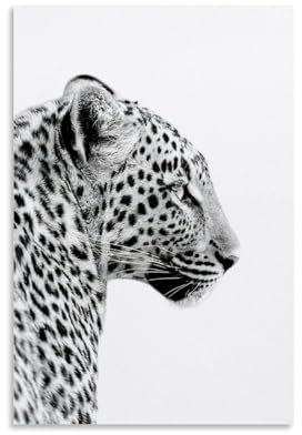TSIDDKA Leoparden-Poster, Wohnzimmer, Schlafzimmer, Dekoration, moderne ästhetische Wandkunst, Poster, Geschenk für Freunde, ungerahmt, 30 x 45 cm