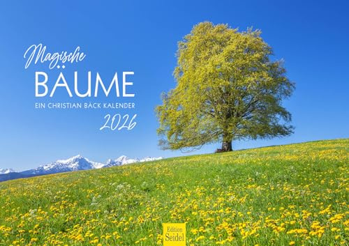 Edition Seidel Premium Kalender Magische Bäume 2026 Format DIN A3 Wandkalender Bäumekalender Baum Mischwald Nationalpark Christian Bäck