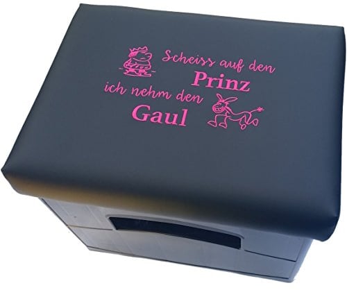 BierEx Bierkastensitz Bierkastenhocker Bierkisten Bierkasten Sitz Sitzkissen Hocker Polster Aufsatz Sitzauflage Kissen (Spruch: Scheiss auf den Prinz ich nehm den...Pink, Schwarz)