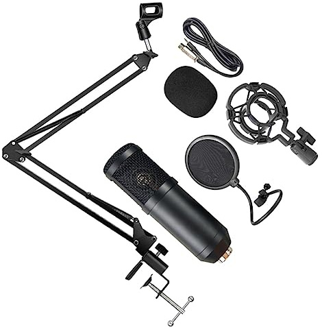 USB Mikrofon BM800 und Aufnahmen, 1 Satz Schwarz | Aluminiumlegierung, Kardioide Kondensatoraufnahme, 41x23x4,8cm, für Laptop, PC und Musikproduktionen Zufällige Farbe