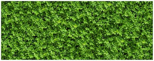 Wallario Küchenrückwand selbstklebend 115 x 50 cm, Motiv: Grüne Hecke | Spritzschutz abwischbar & pflegeleicht