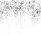 decomonkey - Papier Peint Panoramique Plante 400x280 cm - Décoration murale moderne – Tapisserie décorative pour chambre salon - Des arbres jungle forêt feuilles nature plantes