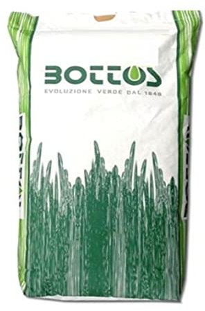 Sementi per Prato di Dicondra Repens - 5 kg