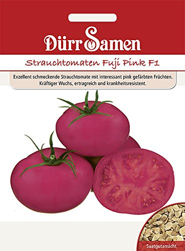 Dürr Samen - Strauchtomaten Fuji Pink F1