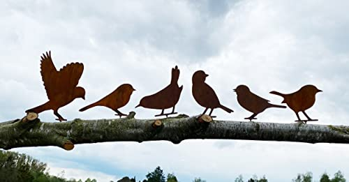6er Set VÖGEL mit Schraube zum Eindrehen in Holz Edelrost Gartendeko Rost Vogel Spatz AST Gartenzaun Metall Rostfigur von Steinfigurenwelt