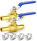 ERGAOBOY 2 Pezzi 2 Vie Dritto Barb Shut off valvola a Sfera, 16 Millimetri Hose Barb Switch valvola a Sfera in Ottone con 4 Morsetti