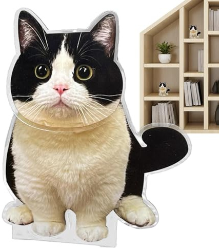 Generisch Katzen-Wackelkopf fürs Auto,Auto-Wackelkopf-Katze | Autodekor-Zubehör,Auto-Armaturenbrett-Schüttelkopf-Dekoration, Acryl-Schüttelkopf-Spielzeug für Auto-Desktop-Dekoration zu Hause