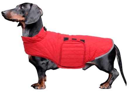 Babepet Steppmantel für Dackel, wasserdichte Winterjacke für kleine Hunde mit Fleecefutter, reflektierender Wurstpullover mit Geschirrloch, Rot, Größe M