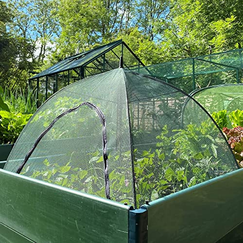 Pop n Crop Fruit Cage Veg Cloche Plant Umbrella | Instant Raised Bed Planter Cover & Bird Insect Mesh Grow House for Crops Herbs Flowers (1.25m x 0.75m H, PK 2)