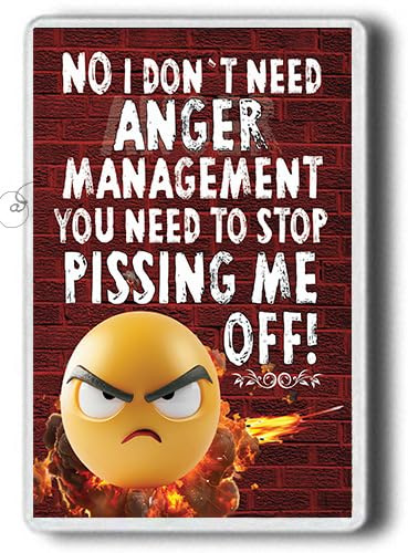 Fridge Magnet! Funny Anger Management Novelty Jumbo Size
