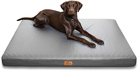 your GEAR Biella 80 x 120 x 10 cm Hundebett XXL – Oeko-TEX, Waschbar, Gelenkschonend, Hoher Liegekomfort, Hundebett große Hunde, Hundekissen, Hundematte