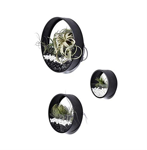 KnikGlass 3 Stück Set Metall Wand Hängende Pflanzen Pflanzgefäß, runde Wandvase, Metall Eisen Pflanzenhalter Retro Wand Dekoration, kreative Wand-Blumentopf mit transparenten Terrarium (Schwarz)