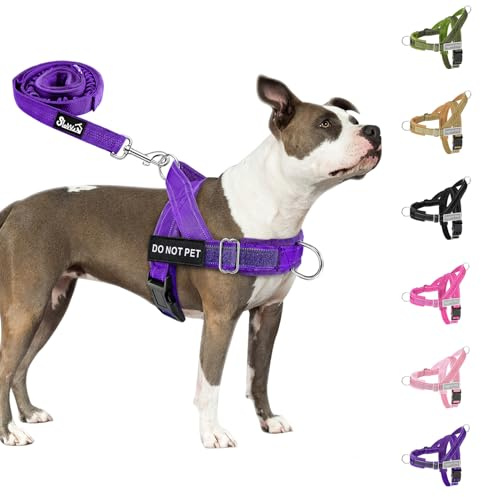 Eyein Hundegeschirr für mittelgroße Hunde mit Leine, Fleece-gepolstert | Anti-Zug Brustgeschirr mit 2 D-Ringen für Training & Spaziergänge, reflektierend, verstellbar an Hals & Brust (Lila, M)