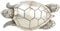 Brazil Lederwaren Gürtelschnalle Schildkröte 4,0 cm | Buckle Wechselschließe Gürtelschließe 40mm Massiv | Wechselgürtel bis 4cm | Silber