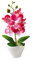 ARMYJY künstliche Orchidee, rote Phalaenopsis im Topf, elegant, 1 Stück, 27 cm x 12 cm, für Zuhause, Hochzeit, Party, Dekoration