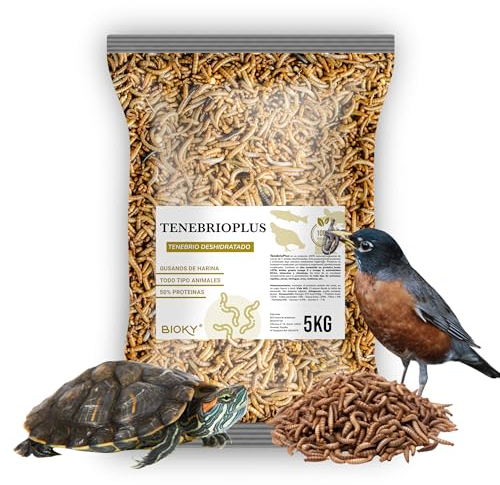 Bioky Gusanos de la Harina 5 KG - Tenebrios Deshidratados Premium 32L - Comida para Aves, Tortugas, Peces, Hamster, Pájaros, Roedores | +50% Proteína