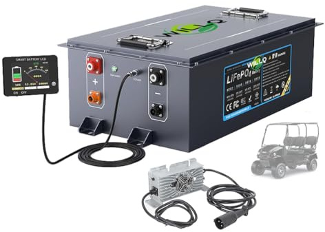 WILLQ 36 V 35 Ah 55 Ah 80 Ah 100 Ah 120 Ah 150 Ah 200 Ah 300 Ah Golfwagen-Akku LiFePO4-Akku mit Ladegerät und LCD-Touchscreen, integriertem BMS und Bluetooth,36v35ah