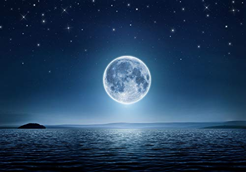 decomonkey Premium Fototapete Vollmond 400x280 cm XL Tapete Fototapeten Vlies Tapeten Vliestapete Wandtapete moderne Wandbild Wand Schlafzimmer Wohnzimmer Landschaft Nacht