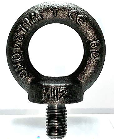 BIAT ® Ringschraube/Ringschrauben nach DIN 580 C 15 E, Augenschraube, Ösenschraube, Transportöse, Größen M6, M8, M10, M12, M16, M20, M24, M30, M36, M42 roh/blank (M20)