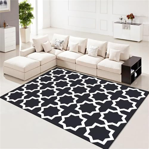 RUGMRZ Teppich Gemustert Teppich Hell Schwarzes und weißes geometrisches Muster Liniendekoration Wohnzimmerzubehör verschleißfest und langlebig Schlafzimmer Teppiche 160X230CM
