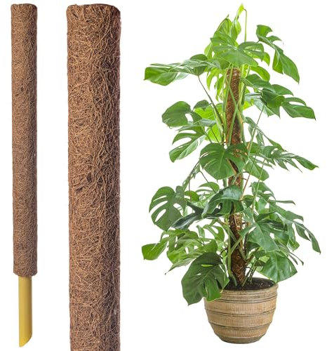 45cm Coir Moss Pole for Climbing Plants – Extendable Plant Support Stake for Monstera, Pothos & Indoor Houseplants – Natural Coco Coir Totem Pole for Stronger Growth (1 x 45cm Mosspole)