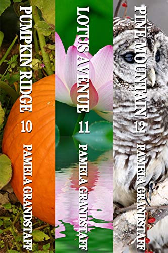 Rose Hill Mystery Series Three-Book Collection: Books 10-12 (Rose Hill Mysteries 4) (English Edition)