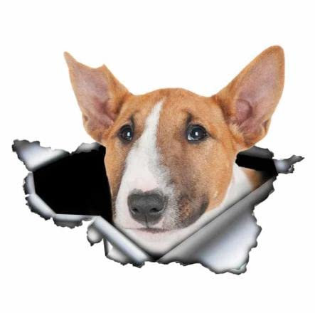 GAETOYEN Autoaufkleber Hund Personalisiert 20 cm Bullterrier Autoaufkleber 3D Zerrissenes Metall Vinyl Stoßstange Kofferraum Aufkleber Haustier Hund Grafik Css1A2783