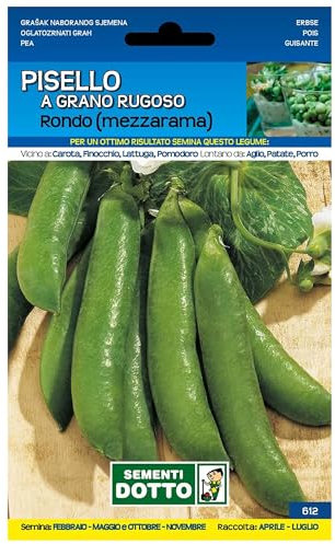 Sicignano | Semi Pisello a Grano Rugoso Rondo - Legume Ricco di Vitamine, Busta Extra - 1 Confezione da 100g, Raccolta Primaverile-Estate