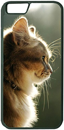 YENDOSTEEN Fall für iPhone 7 Plus iPhone 8 Plus Katzen Denken