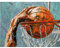YSCOLOR Dunk Basketball Stillleben Diy Malen Nach Zahlen Wandkunst Bild Acrylbild Für Heimdekoration 40X50cm