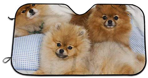 Parasol para el viento delantero del coche, divertido parasol Pomerania, para el viento delantero, reflector UV, parasol universal para coche, SUV, camión, verano, S