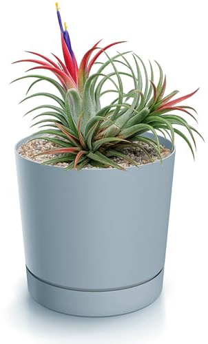 magubo Blumentopf mit Untersetzer, Übertöpfe für Zimmerpflanzen, Pflanzkübel, Übertopf Groß, 20 cm Durchmesser, Elegantes Design für Innen- und Außenbereich (200, Grau)
