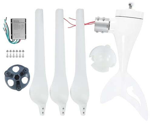 Kit generatore eolico 100W asse orizzontale con controller NE100S11 Macchinari elettrici per uso domestico (DC12V)