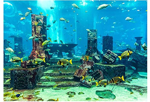 Aquarium hintergrundfolie, PVC Korallen Aquarium Hintergrund Unterwasser Poster Aquarium Wanddekorationen Aufkleber 4 Gr??e(61 x 30 cm)