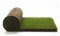 Gazon naturel véritable - Gazon naturel véritable prêt à l'emploi, gazon de jardin, 40 cm x 123 cm, vraies plantes