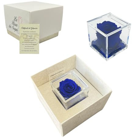 Tesori Nascosti Rosa Stabilizzata Blu Profumata in Cubo Trasparente - Confezione Regalo Elegante con Certificato - Durata 5-7 anni - Made in Italy - 5x5 cm - Rosa con Petali in gel (Blu)