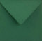 Netuno 25 Umschläge quadratisch Dunkel-Grün 153 x 153 mm 115g Sirio Color Foglia Briefumschläge Hochzeit Geburtstag Weihnachten Briefhüllen bunt hochwertig elegante Einladungsumschläge farbig