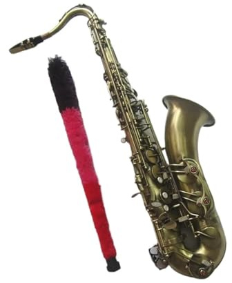 Custodia Professionale Per Sassofono Tenore Sax B Piatto In Rame Antico
