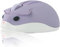 Wireless Mouse,Cute Hamster Shape Mouse,1200DPI with USB Unified Receiver,Silent Portable Cordless Optical Mouse, Suitable for Travel School Office PC Computer Laptop, Gift for Kids and Girls (Purple)