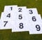 eclipse branding Numbered Golf Pin Tee Flags 1-9 yellow white blue or red with Ties for the pole (1-9 Red Flags with Ties)