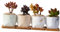 BESPORTBLE Mini-Blumentöpfe 1 Satz 4St Topf für Pflanzen im Innenbereich Glasbehälter für Terrarien babyshowergeschenk House Decoration fleischiger Blumentopf kreativer Blumentopf Haushalt