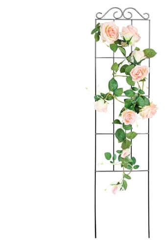 Treillis pour en pot | Treillis pour de jardin – Support en métal pour un usage domestique, cage à fleurs et d'intérieur