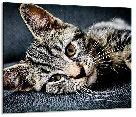 Herdabdeckplatten Ceranfeldabdeckung Spritzschutz Glas 60x52 Katze