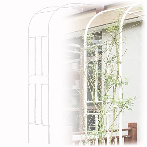 JKGHK Halbseitiger Gartenbogen,Halbrunder Rosenbogen aus Metall,Pergola Rankgitter zur Wandmontage,Torbogen Rankhilfe dekorierte Pergola-Laube für Kletterrosenpflanzen